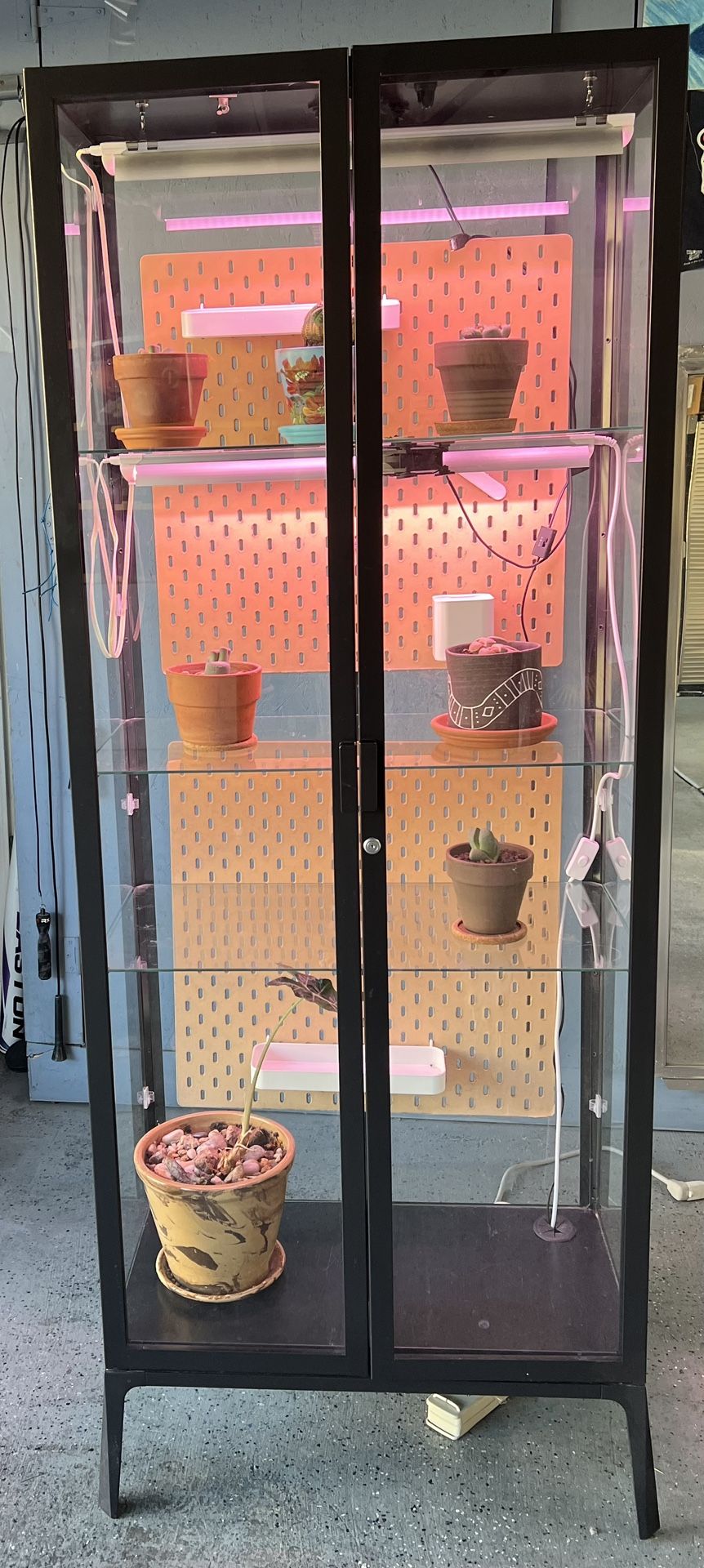 IKEA Glass Greenhouse Plant Cabinet 15” X 27” X 69”