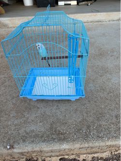 Bird cage