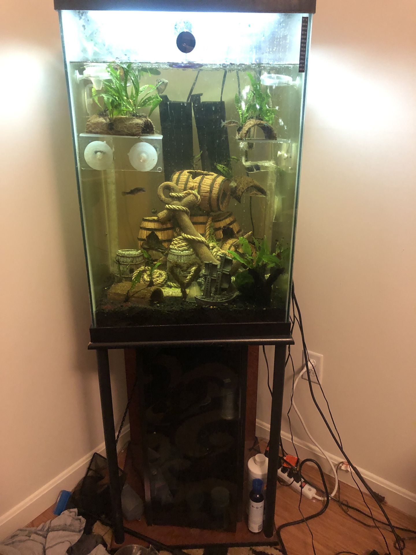 47 gallon complete fish tank