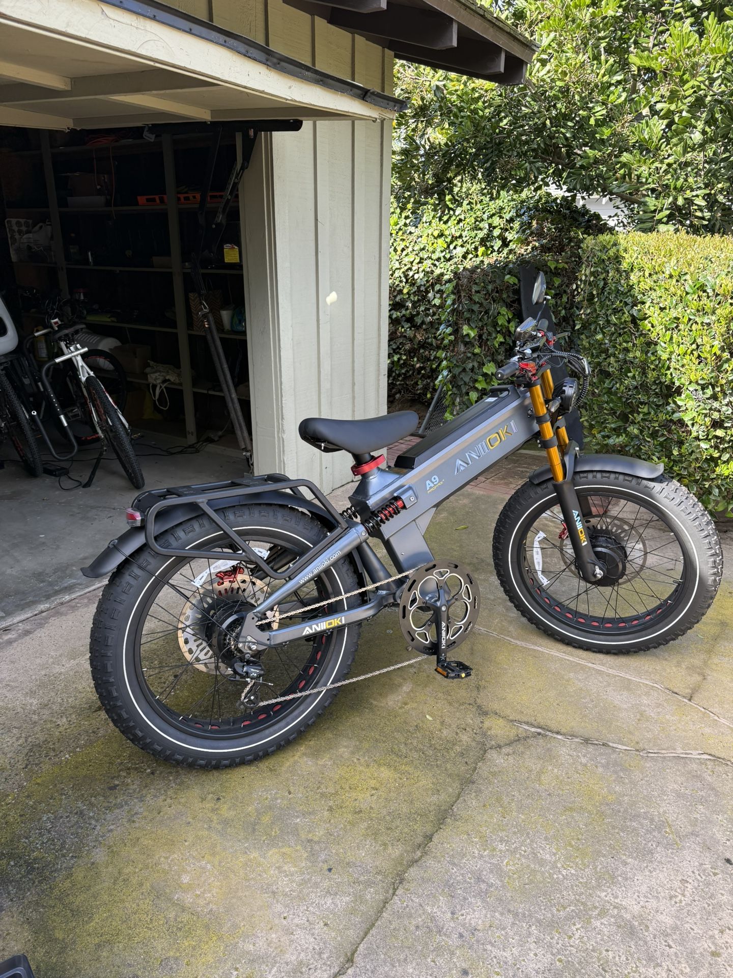 Aniioki A9 Dual Motor eBike