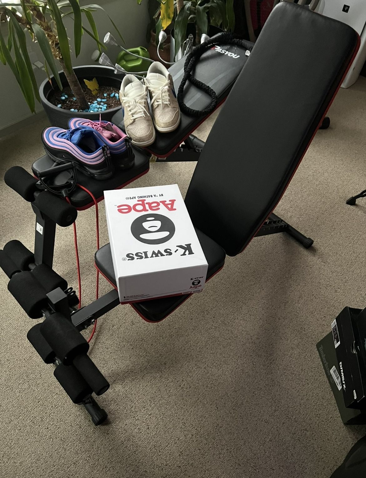 Weight Bench