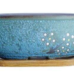 Succulent Ceramic Pot 7.9" with Tray NEW, PLANTS NOT INCLUDED