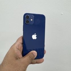 iPhone 12 256gb Unlocked 