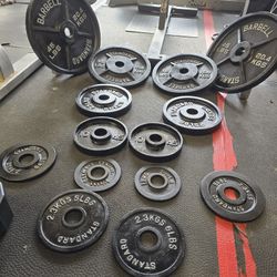 255lbs Olympic Weights