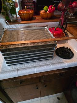 Bakers Cooling Rack or Dehydration in oven racks