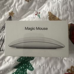 Magic Mouse Good Deal 