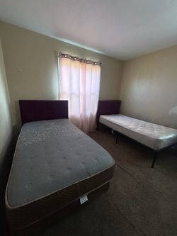 Twin sized beds