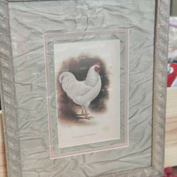 FRAMED ANTIQUE ROOSTER PRINT