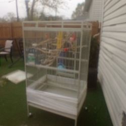Bird Cage
