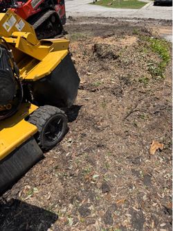 Stump grind
