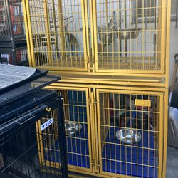 Gold Kennel