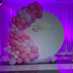  organic balloon arch /Baby Shower -Birthday