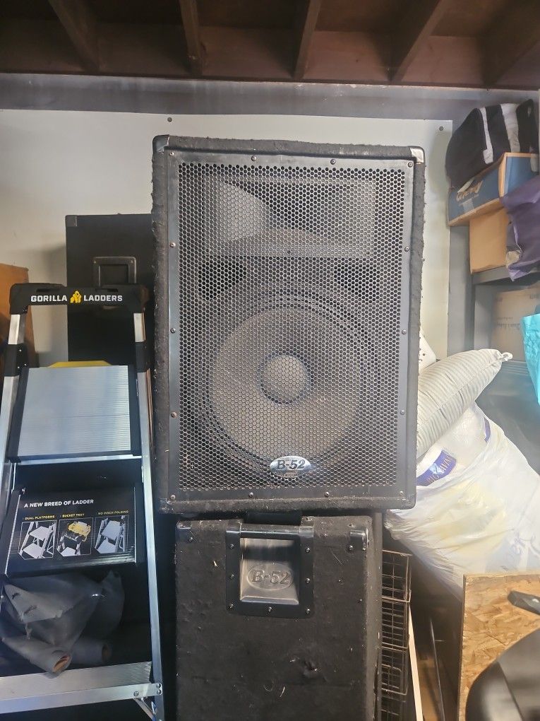 B-52 PROFESSIONAL SPEAKER