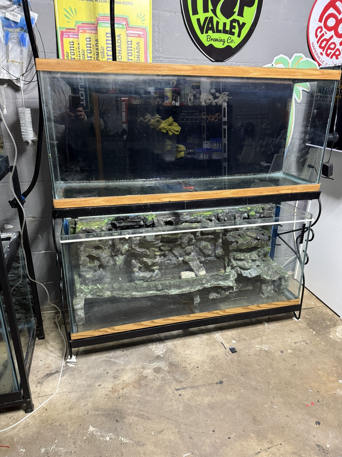 55 Gallon Rack Aquarium 