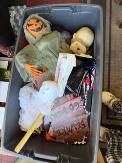 Take everything in the box halloween back yard decor
