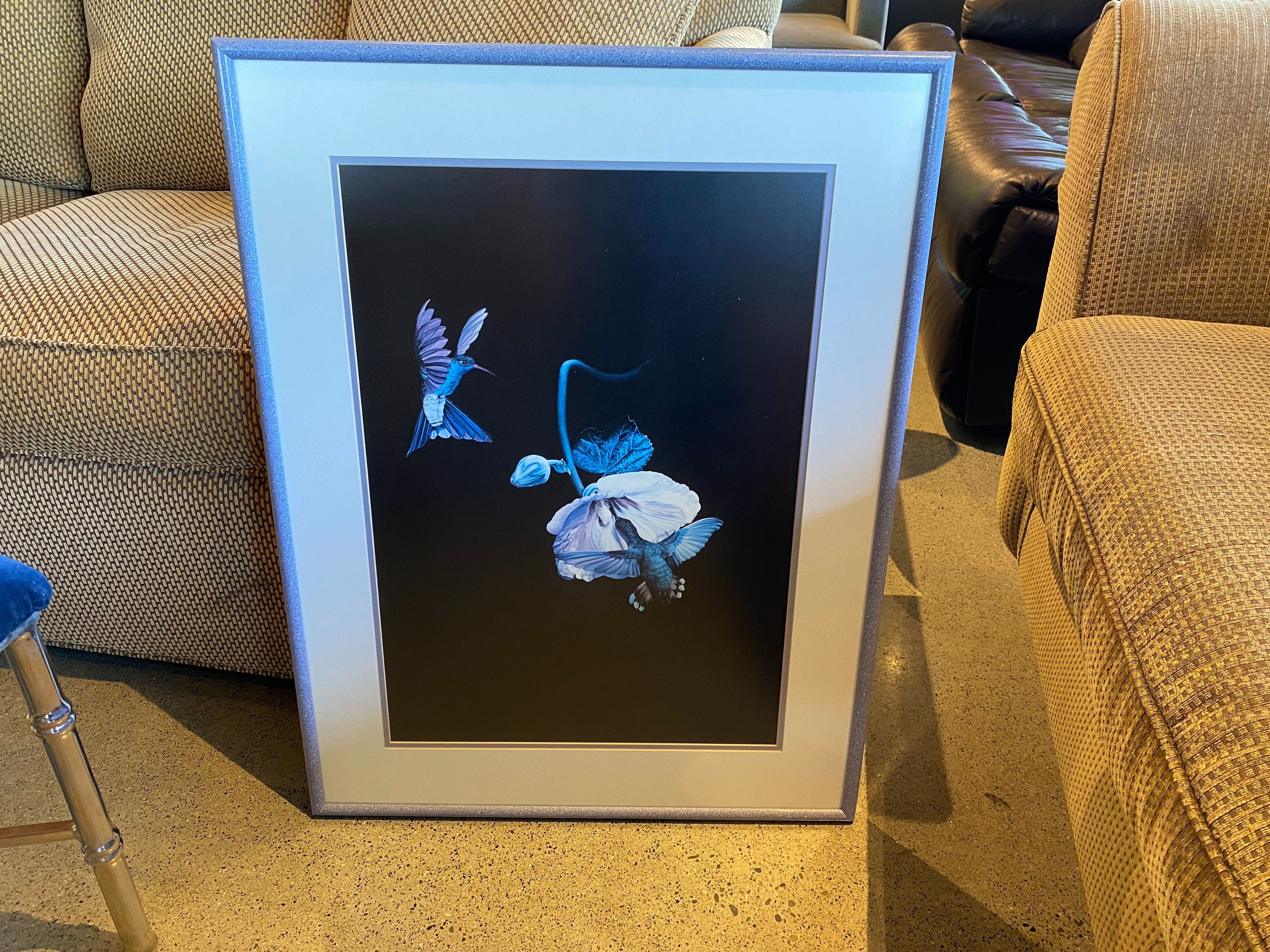 Framed Hummingbird and Flower Art Print