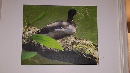 16x20 x1 canvas digital print duck on log