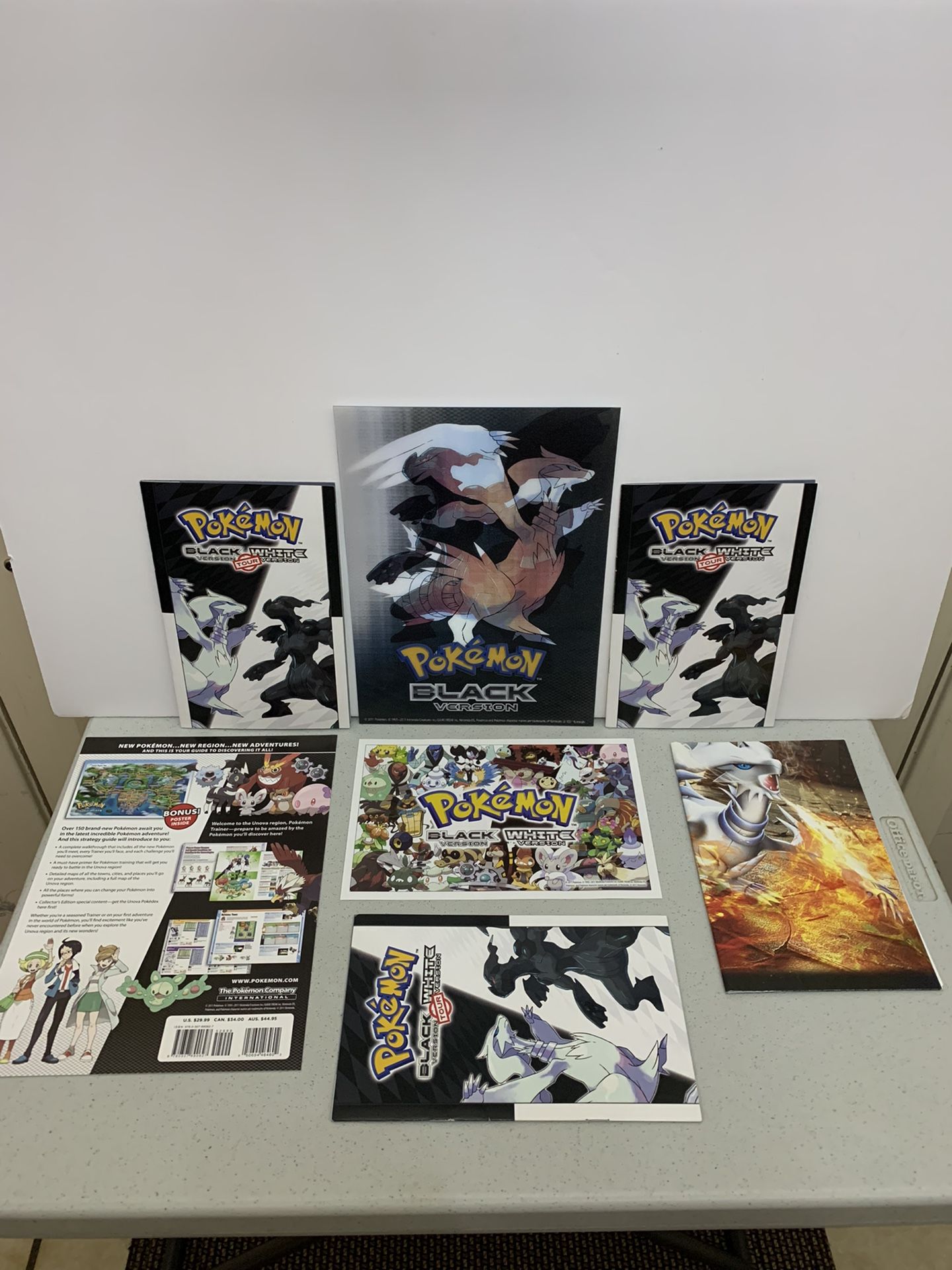 Pokemon HeartGold & SoulSilver The Official Pokemon Kanto Guide National  Pokedex: Official Strategy for Sale in Austin, TX - OfferUp