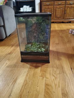 Exo Terra Tank