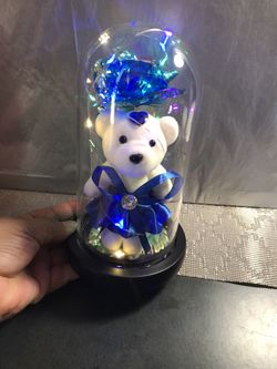 TEDDY BEAR IN Rose, Automatic  Different Colors Light String on The Crystal Rose,Infinity Rose,Enchanted Rose Glass Dome Best Gifts 