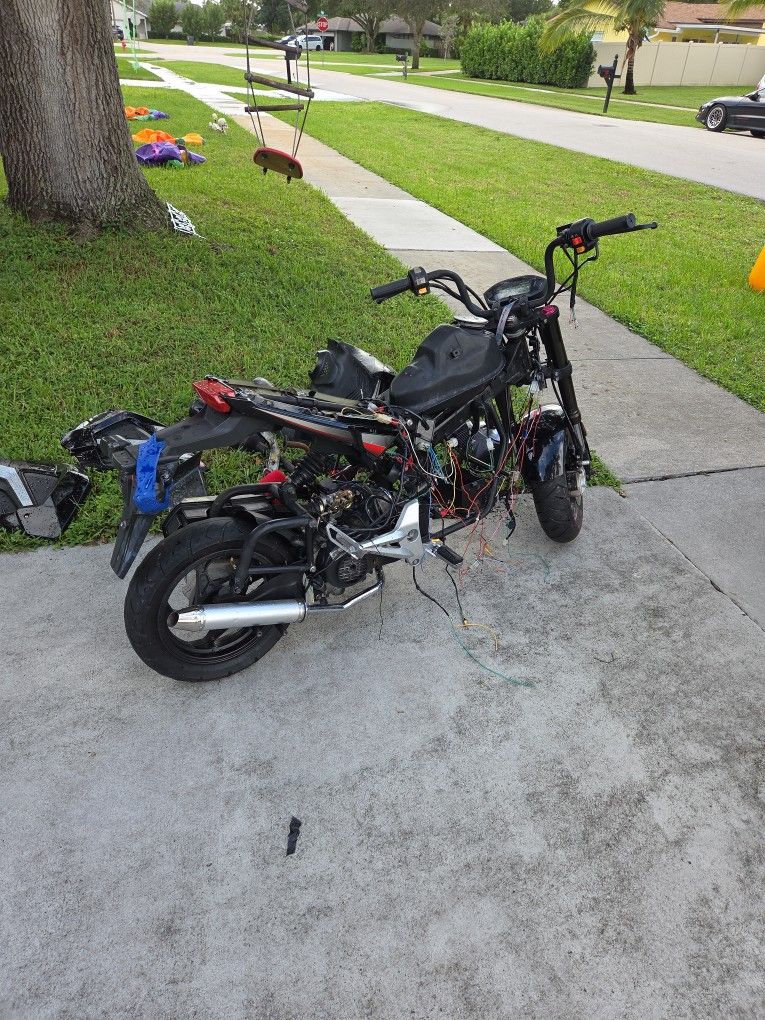 Free 2016 Vitacci Bullet