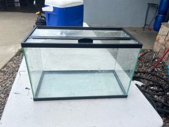10 gallons tank (imaginarium )