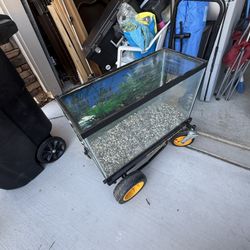 Fish/Reptile Tank 
