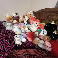 Squishmallow Bundle Message For Prices
