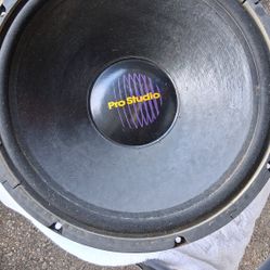 Pro Studio 15in Speakers 