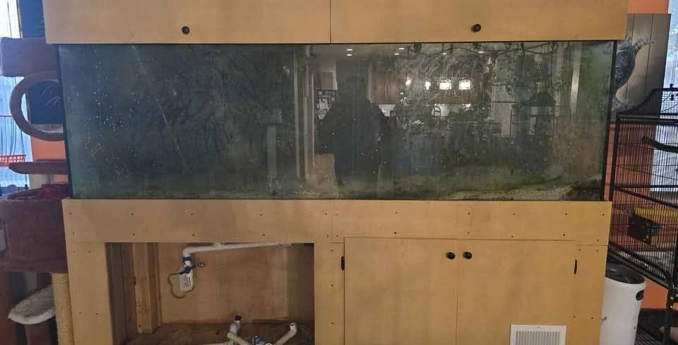 300 Gallon Fish Tank