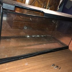 20 Gallon Terrarium( Like New) 