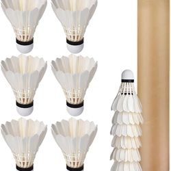 12 Pcs Shuttlecocks, Professional Badminton Shuttlecock Lightweight Training Sport Badminton Balls High Speed Badminton Birdies  Badminton 