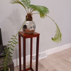 House Plant In A Decorative Pot
