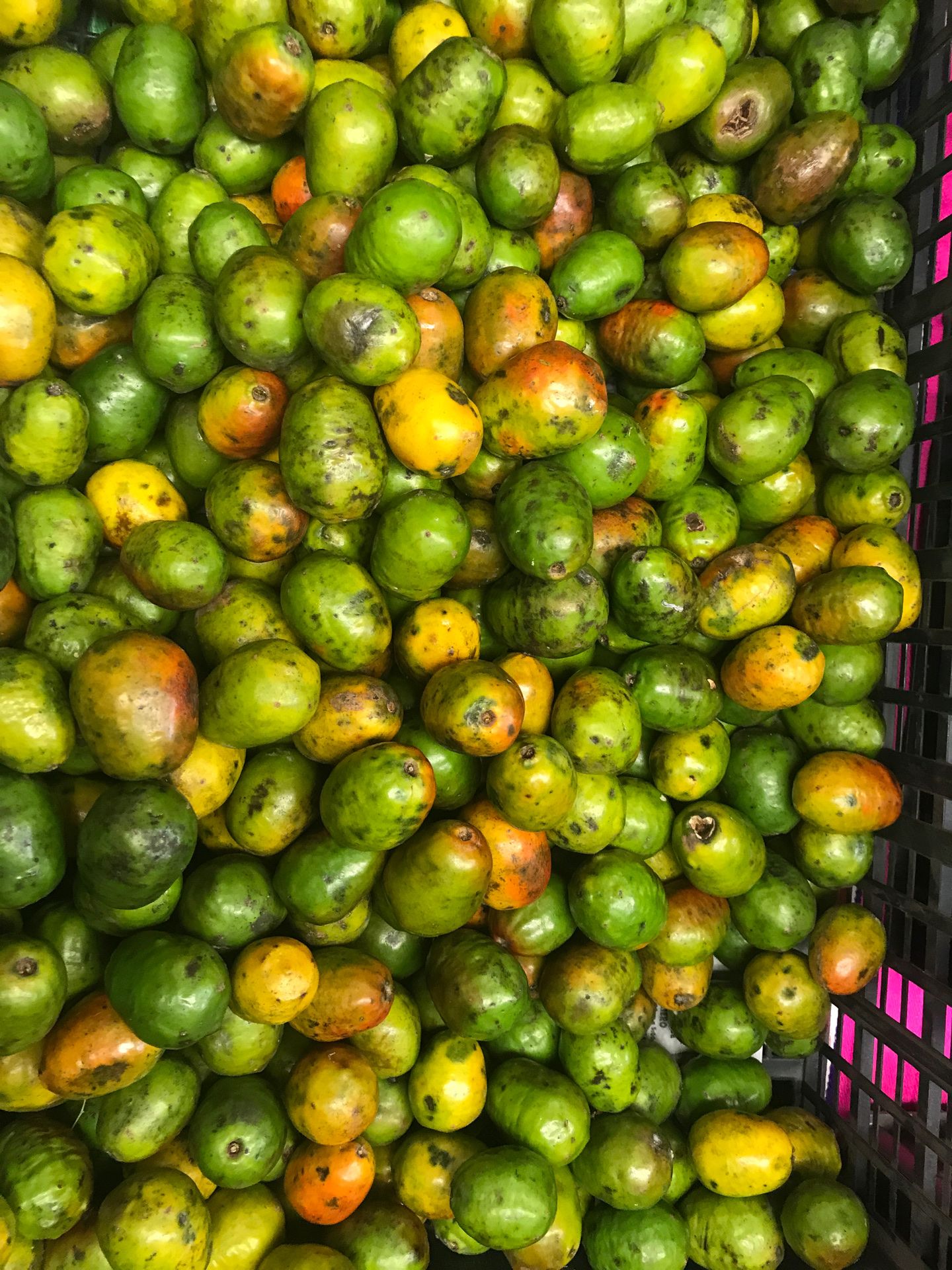Ciruela