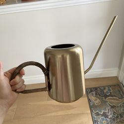 Stainless Stee Watering Can for Indoor Plants and Garden, Watering Pot
