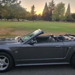 2004 Ford Mustang