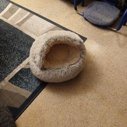 Cat Bed