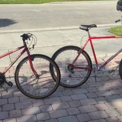 2 Vintage Bikes Diamond Back 1 Fully Restored His And Hers