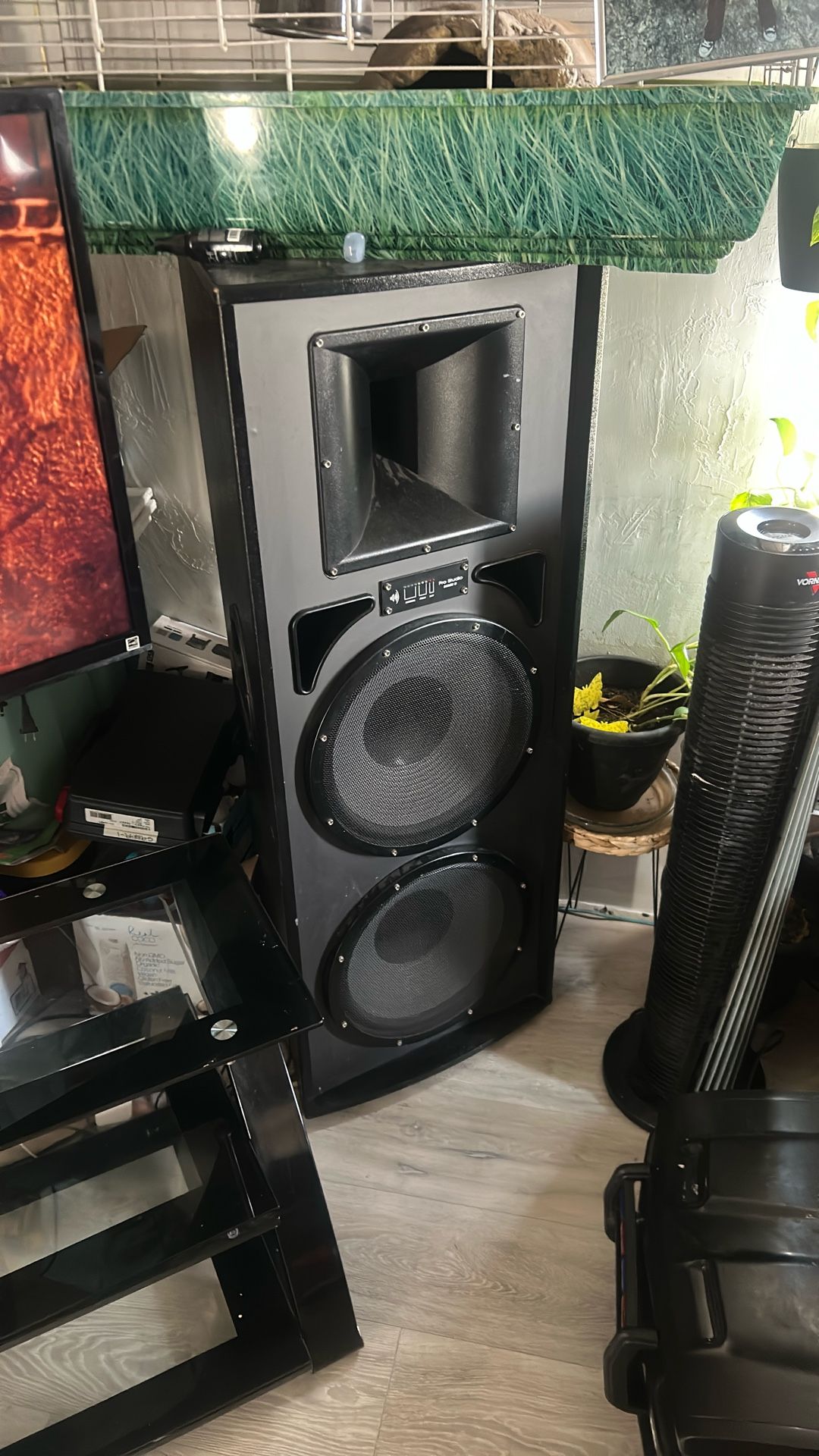 Pioneer With A Set Of Pro Studio Mach 2
