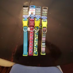 Dog Collar - Large