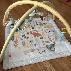 Fisher-Price Baby Playmat