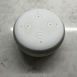 Amazon Echo Dot - Works Perfectly