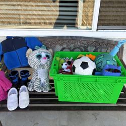 Toys !!!! $20 Takes All 