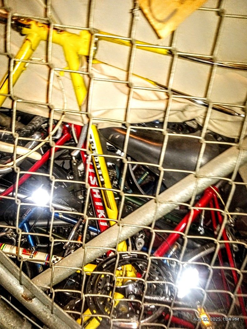 100 Bike Collection All Brand Names. No Junk