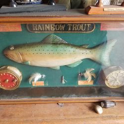 Vintage Rainbow Trout Fly Fishing Shadow Box for Sale in San Jose