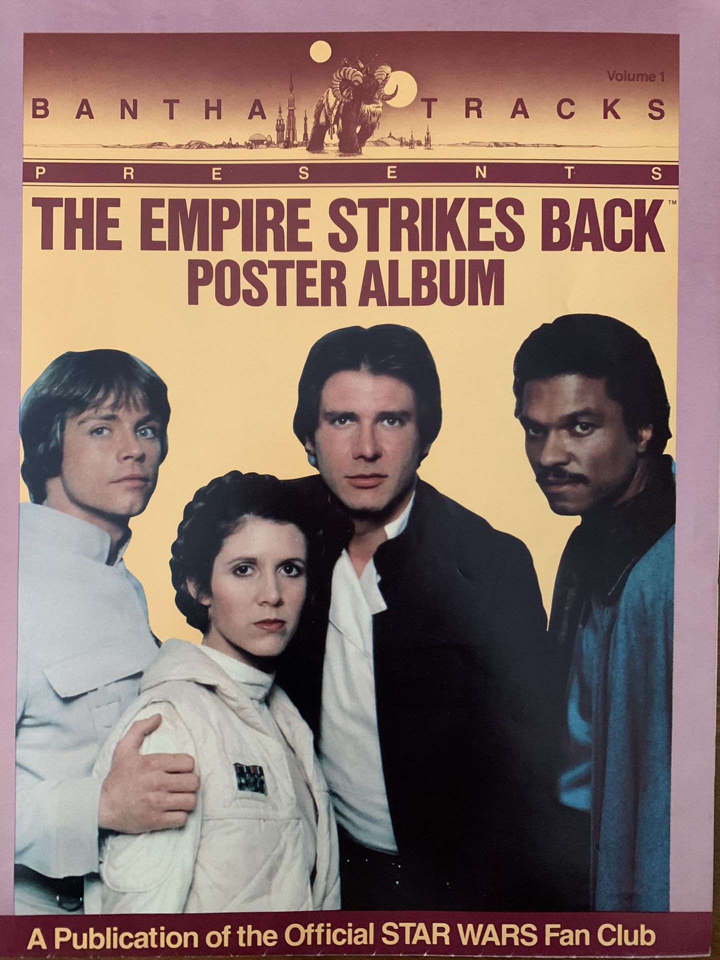Star Wars 1981 Luke Skywalker, Leia, Han And Lando TESB Poster Album