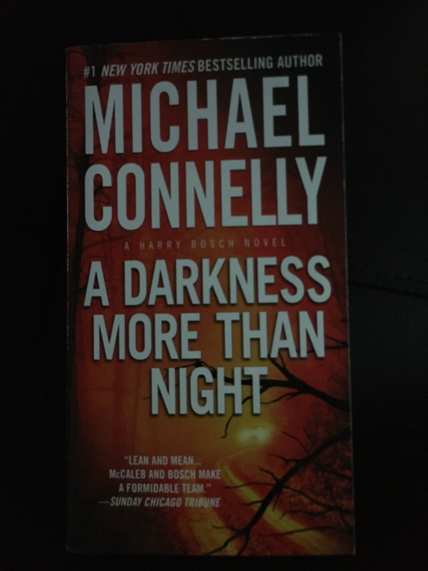 A darkness more than night book