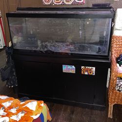 75 Gallon fish tank with storage/stand