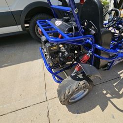 Trail Master Go Kart