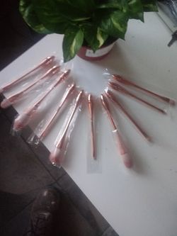 Toxica Beauty brushes and lip gloss